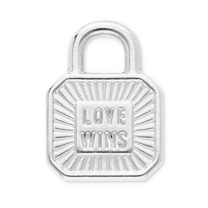 Stainless Steel Charms Clasp Love Wins Silver Silver Approx 15X11Mm 36 4Mm