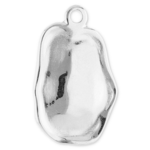Stainless Steel Charms Irregular Silver Silver Approx 26X16Mm 23Mm