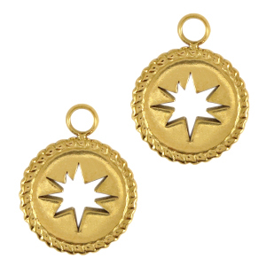 Stainless Steel Charms Star Gold Gold Approx 10X13Mm 2Mm
