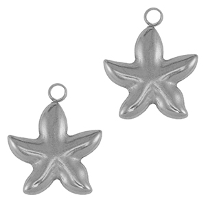 Stainless Steel Charms Starfish Silver Silver Approx 17X14Mm 2Mm