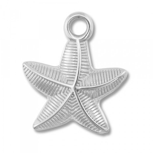 Stainless Steel Charms Starfish Silver Silver Approx 21X19Mm 26Mm